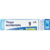 BOIRON® Thuya Occidentalis 9ch 4 g Granuli