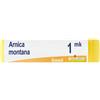 BOIRON® Arnica montana 1 mk Monodose g Globuli