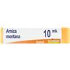 BOIRON® Arnica Montana 10 mk Monodose 1 g Globuli