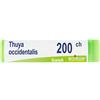 BOIRON® Thuya occidentalis 200ch Monodose 1 g Globuli