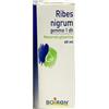 BOIRON® Ribes Nigrum Gemme 1 dh 60 ml Estratto
