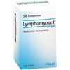 Guna Lymphomyosot® 50 St Compresse