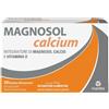 Magnosol Mylan MAGNOSOL Calcium 25 g Polvere per soluzione orale