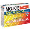 MG.K VIS® RICARICA PLUS 14 pz Bustina