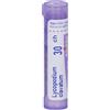 Lycopodium CL BOI BOIRON® Lycopodium Clavatum 30 ch 4 g Granuli