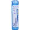 BOIRON® Rhus Toxicodendron 9 ch 4 g Granuli