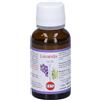 Olio KOS KOS Lavada Olio Essenziale 20 ml Soluzione orale