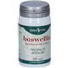 ERBA VITA Boswellia 24 g Capsule