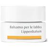 DR Hauschka Dr. Hauschka Balsamo per le Labbra 4,5 g