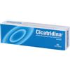 Cicatridina® 60 g Pomata