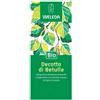 WELEDA Decotto di Betulla 250 ml Sciroppo