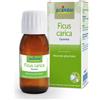 Ficus Laboratoires Boiron BOIRON® Ficus Carica Gemme 60 ml Soluzione orale