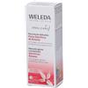 WELEDA Oral Care Dentifricio Ratania 75 ml