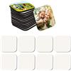 OOTSR 16 Pezzi Magneti da Frigorifero, Sublimazione in Bianco, 5x5cm Magneti Decorativi per Frigorifero, Lavagna, Cucina Casa, Decorazione da Parete fai-da-te , Piazza