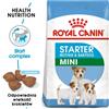 ROYAL CANIN Mini Starter Mother & Babydog 8kg