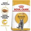 ROYAL CANIN British shorthair 34 10 kg
