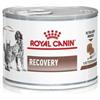 ROYAL CANIN Vet Recovery dog/cat 195g