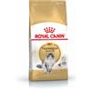 ROYAL CANIN Norvegian 2 kg