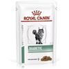 ROYAL CANIN Cat diabetic 12 x 85g cibo umido dietetico per gatti adulti con diabete mellito