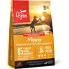 ORIJEN Puppy 2kg