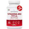 Bandini® Vitamina B12 365 Vegan (+ 1 Anno), Metilcobalamina 1000µg, Compresse Vegane al 100%, Vitamine B 12 per il Sistema Immunitario, Vit B Metabolismo energetico, Stanchezza Fisica e Mentale