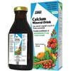 Calcium Salus Haus Salus Calcium Mineral-Drink 250 ml Soluzione orale