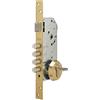 Tesa R100B566E Serratura di Sicurezza Monopunto per Porte in Legno, Acciaio Smaltato Cromato, Cilindro 30 x 30 mm, 4 Catenacci da 14 mm, Scrocco Reversibile e Fissaggi Inclusi