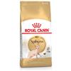 ROYAL CANIN Sphynx Adult 2 kg