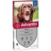 Advantix spot-on 4 pipette per cani oltre 25 kg elimina zecche, pulci e zanzare