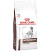 ROYAL CANIN Dog Gastrointestinal High Fibre 14 kg