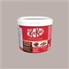 NESTLE' Perugina 3 Kg Crema Spalmabile Anidra Farcitura per Cornetti Torte KITKAT