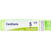 BOIRON® Cantharis 5Ch 4 g Granuli