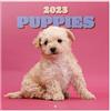 Grupo Erik Calendario Cuccioli Adorabili 2023 da Muro - 12 mesi + 4 in omaggio, 30x30 cm, FSC - ottimo come calendario 2023 da parete cani, calendario cagnolini 2023 o calendario 2023 animali