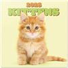 Grupo Erik Calendario Gattini 2023 da Muro - 12 mesi + 4 in omaggio, 30x30 cm, FSC - ottimo come calendario 2023 da parete gatti, calendario 2023 gattini o calendario 2023 animali