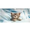 Seelenzauber Calendario DIN A3 per bambini e gatti 2023 - Magia dell'anima