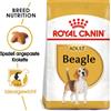 ROYAL CANIN Beagle adult 12 kg