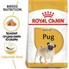 ROYAL CANIN Pug adult 1.5 kg