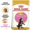 ROYAL CANIN Kitten maine coon 4 kg