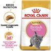 ROYAL CANIN Kitten British Shorthair 2 kg