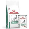 ROYAL CANIN Dog Diabetic 12kg secco + umido 12x410g