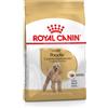 Royal Canin Poodle Adult 500 gr Croccchette Per Barboncino