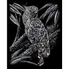 Pracht Creatives Hobby Royal & Langnickel Quadro Graffiante Cacatua, Argento, Immagini da Graffiare per Bambini e Adulti, con Penna Graffiante e Sagoma