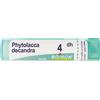 BOIRON Phytolacca Decandra 4dh Granuli Multidose Boiron