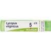 BOIRON Lycopus Virginicus 5Ch Granuli Multidose Boiron