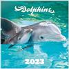 Grupo Erik Calendario Delfini 2023 da Muro - 12 mesi + 4 in omaggio, 30x30 cm, FSC - ottimo come calendario 2023 da parete, calendario ufficio 2023, calendario animali 2023