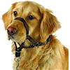 Kerbl Pet Kerbl Maxi Coach - Imbracatura per addestramento ed educazione dei cani