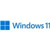 Microsoft Windows 11 Professional 64B Italiano DVD OEM (FQC-10538) vendita abbinata ad acquisto PC - FQC-10538