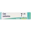 BOIRON Calcarea Carbonica Ostrearum 7Ch Globuli Monodose Boiron