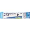 BOIRON Harpagophytum Procum 9 Ch Tubo 2020