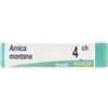 BOIRON Arnica Montana 4 Ch Dose 2020